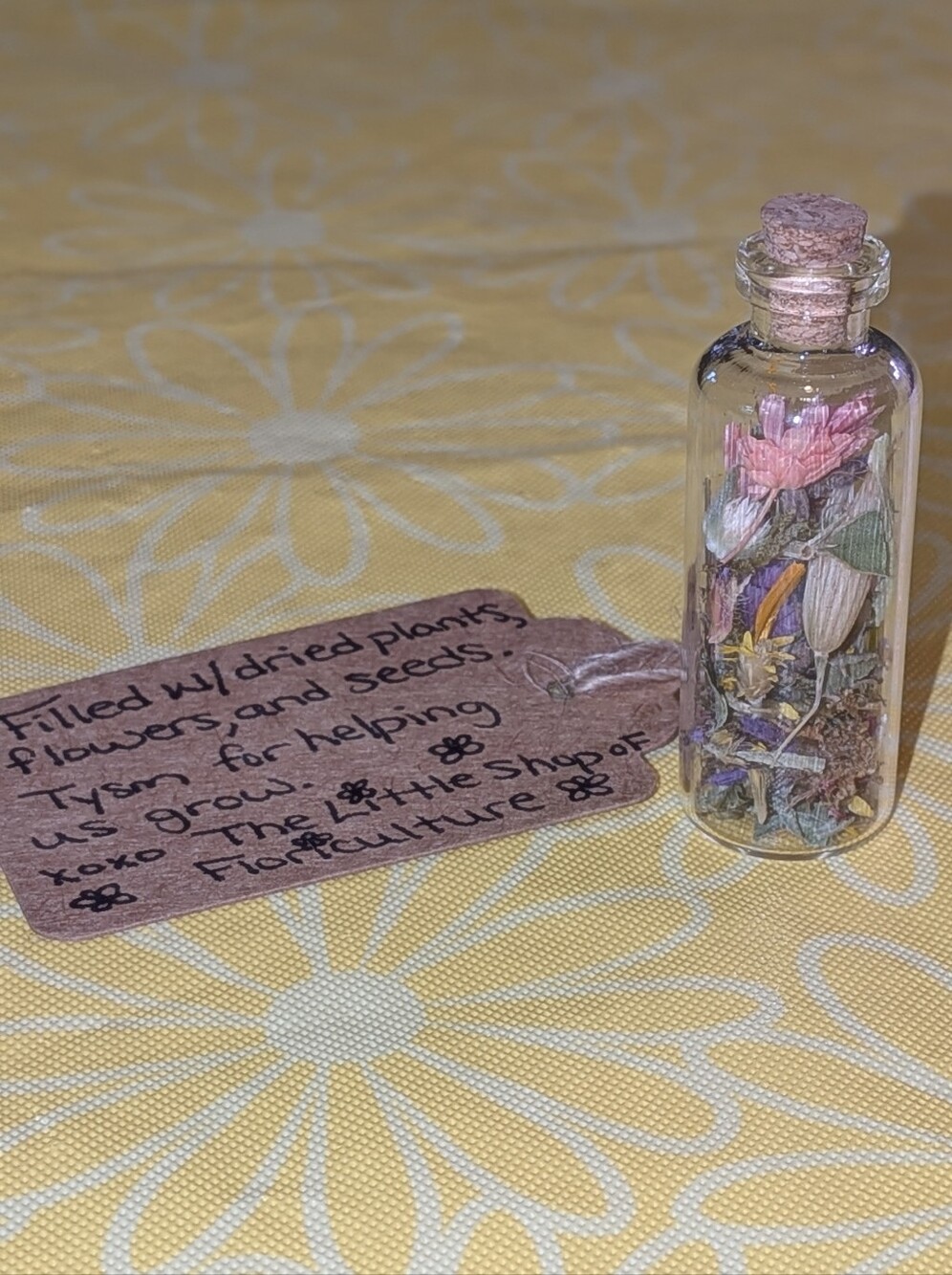 Tiny Handmade Terrarium - Picture 4 of 5